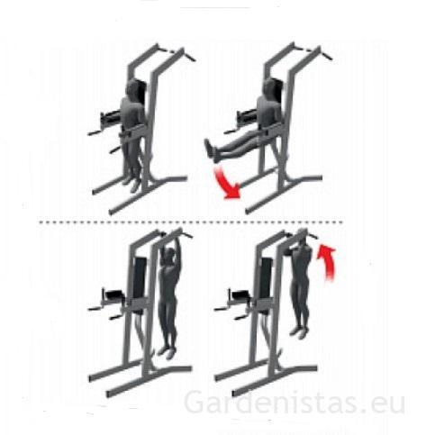 Välijõusaali käe-, õla- ja seljalihaste treeningseade KF-814-S Välijõusaali treeningseadmed KF seeria 2 Välijõusaali käe-, õla- ja seljalihaste treeningseade KF-814-S Välijõusaali treeningseadmed KF seeria Gardenistas.eu 2