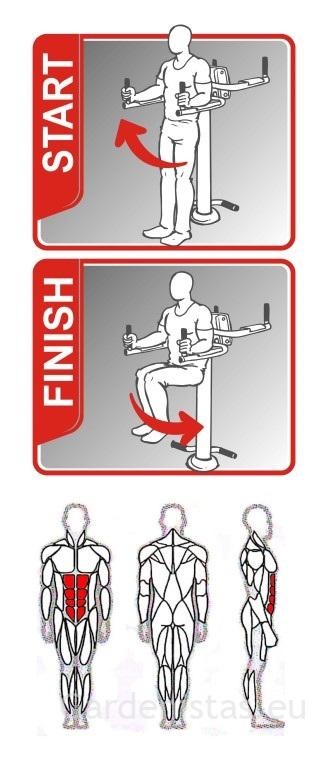 Välijõusaali kõhulihaste treeningpink SE125 Välijõusaali treeningseadmed SE-SL seeria 5 Välijõusaali kõhulihaste treeningpink SE125 Välijõusaali treeningseadmed SE-SL seeria Gardenistas.eu 5