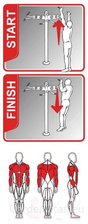 Välijõusaali kõhulihaste treeningpink SL117 Välijõusaali treeningseadmed SE-SL seeria 5 Välijõusaali kõhulihaste treeningpink SL117 Välijõusaali treeningseadmed SE-SL seeria Gardenistas.eu 5