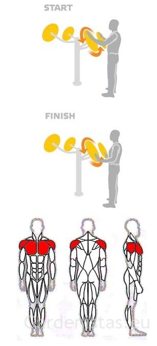 Välijõusaali õla treeningpink SE107 Välijõusaali treeningseadmed SE-SL seeria 6 Välijõusaali õla treeningpink SE107 Välijõusaali treeningseadmed SE-SL seeria Gardenistas.eu 6