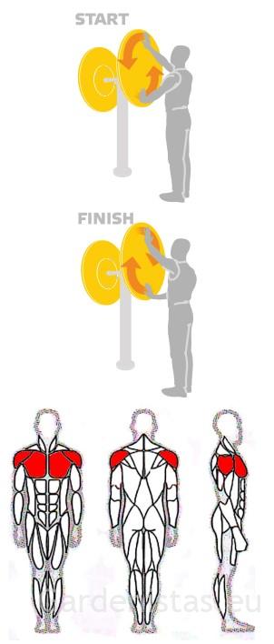 Välijõusaali õla treeningpink SE108 Välijõusaali treeningseadmed SE-SL seeria 6 Välijõusaali õla treeningpink SE108 Välijõusaali treeningseadmed SE-SL seeria Gardenistas.eu 6