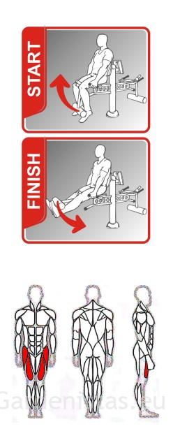 Välijõusaali reielihaste treeningpink SL126 Välijõusaali treeningseadmed SE-SL seeria 6 Välijõusaali reielihaste treeningpink SL126 Välijõusaali treeningseadmed SE-SL seeria Gardenistas.eu 6