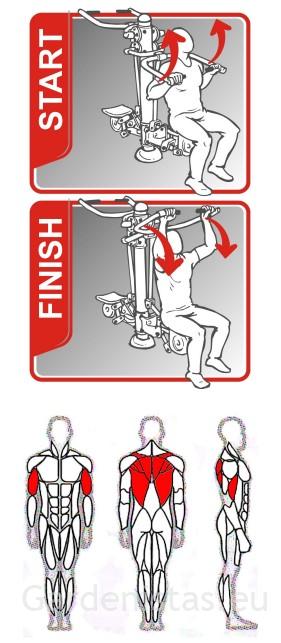 Välijõusaali seljalihase treeningpink SE102 Välijõusaali treeningseadmed SE-SL seeria 6 Välijõusaali seljalihase treeningpink SE102 Välijõusaali treeningseadmed SE-SL seeria Gardenistas.eu 6