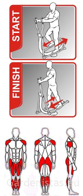 Välijõusaali trenazöör jalalihastele SE-116 Välijõusaali treeningseadmed SE-SL seeria 11 Välijõusaali trenazöör jalalihastele SE-116 Välijõusaali treeningseadmed SE-SL seeria Gardenistas.eu 11