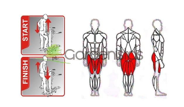Välijõusaali reie- ja tuharalihaste treeningpink SM136 Välijõusaali treeningseadmed SM seeria 4 Välijõusaali reie- ja tuharalihaste treeningpink SM136 Välijõusaali treeningseadmed SM seeria Gardenistas.eu 4