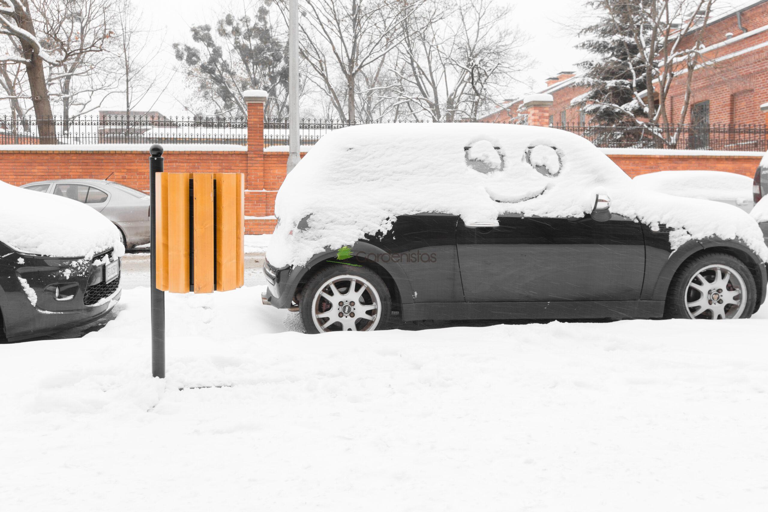 Prügikast ” Genewa “ Prügikastid 4 Prügikast ” Genewa “ Prügikastid Gardenistas.eu 4