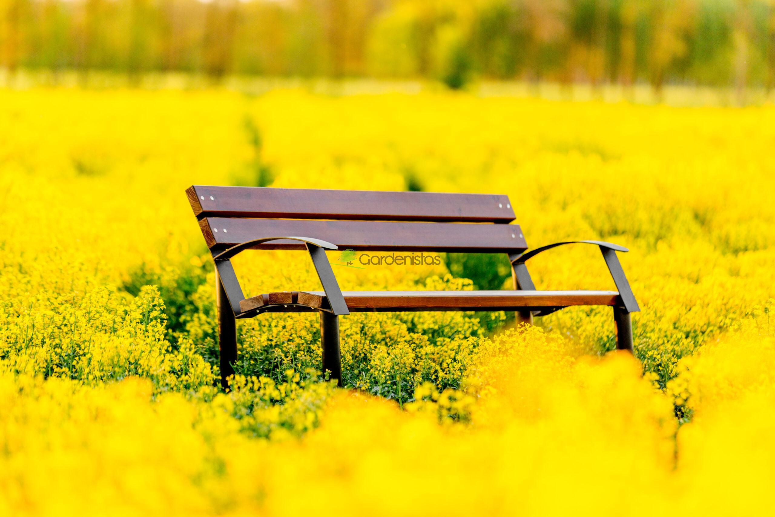 Pargipink “Centurion I” Terasest pargipingid 3 Pargipink “Centurion I” Terasest pargipingid Gardenistas.eu 3