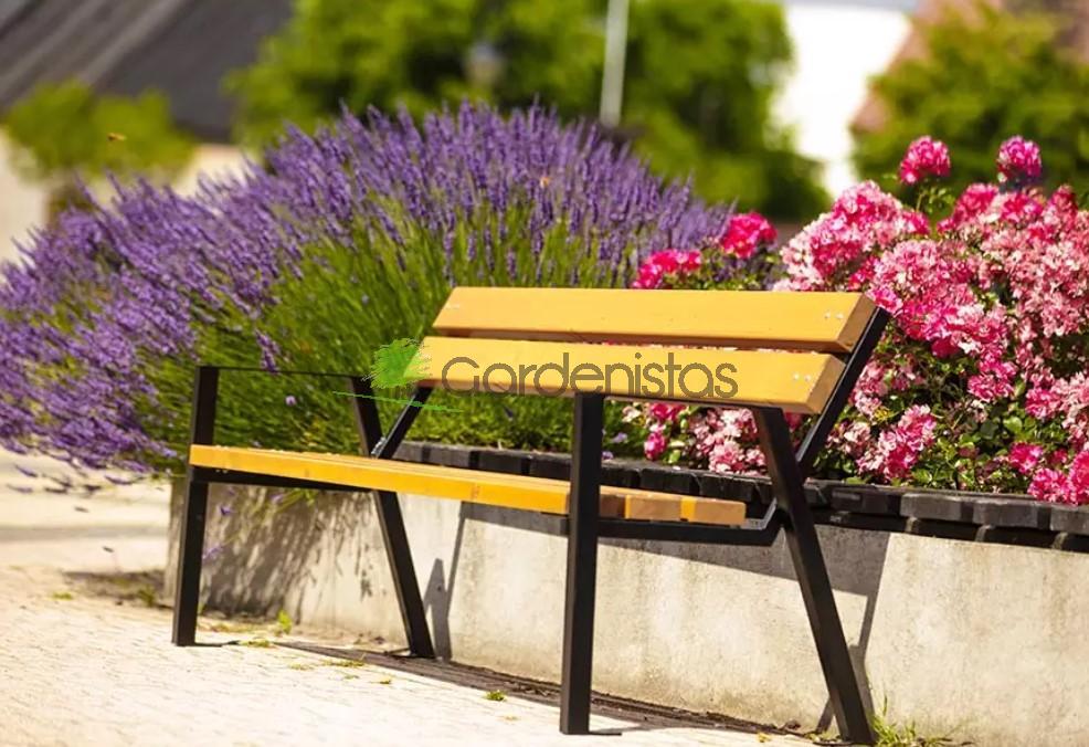 Pargipink “Zeus” Terasest pargipingid Pargipink “Zeus” Terasest pargipingid Gardenistas.eu