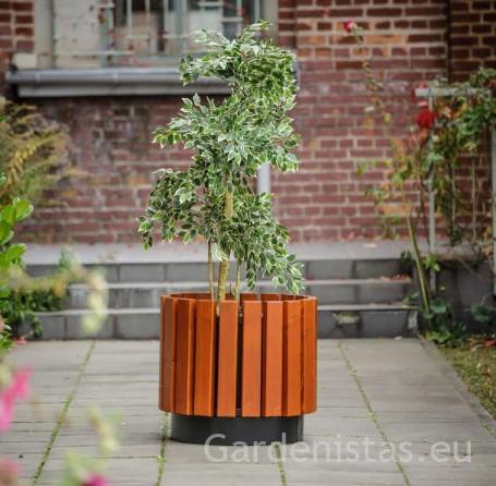 Taimepott MALTA 80l Taimepotid Taimepott MALTA 80l Taimepotid Gardenistas.eu