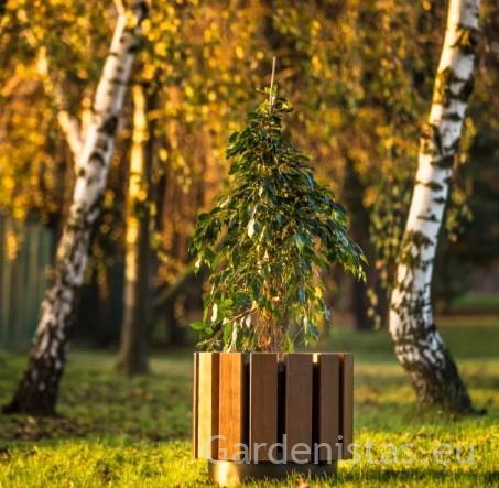 Taimepott BRNO 46l Taimepotid 3 Taimepott BRNO 46l Taimepotid Gardenistas.eu 3