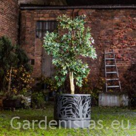 Taimepott NEAPOL 80l Taimepotid 2 Taimepott NEAPOL 80l Taimepotid Gardenistas.eu 2