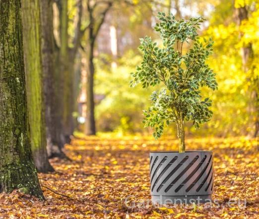 Taimepott SPLIT 80l Taimepotid 2 Taimepott SPLIT 80l Taimepotid Gardenistas.eu 2