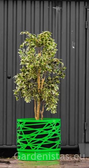 Taimepott OSTRAVA 80l Taimepotid 3 Taimepott OSTRAVA 80l Taimepotid Gardenistas.eu 3