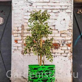 Taimepott OSTRAVA 80l Taimepotid 2 Taimepott OSTRAVA 80l Taimepotid Gardenistas.eu 2