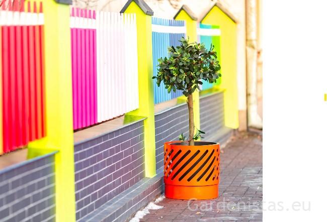 Taimepott CAPRI 46l Taimepotid 3 Taimepott CAPRI 46l Taimepotid Gardenistas.eu 3