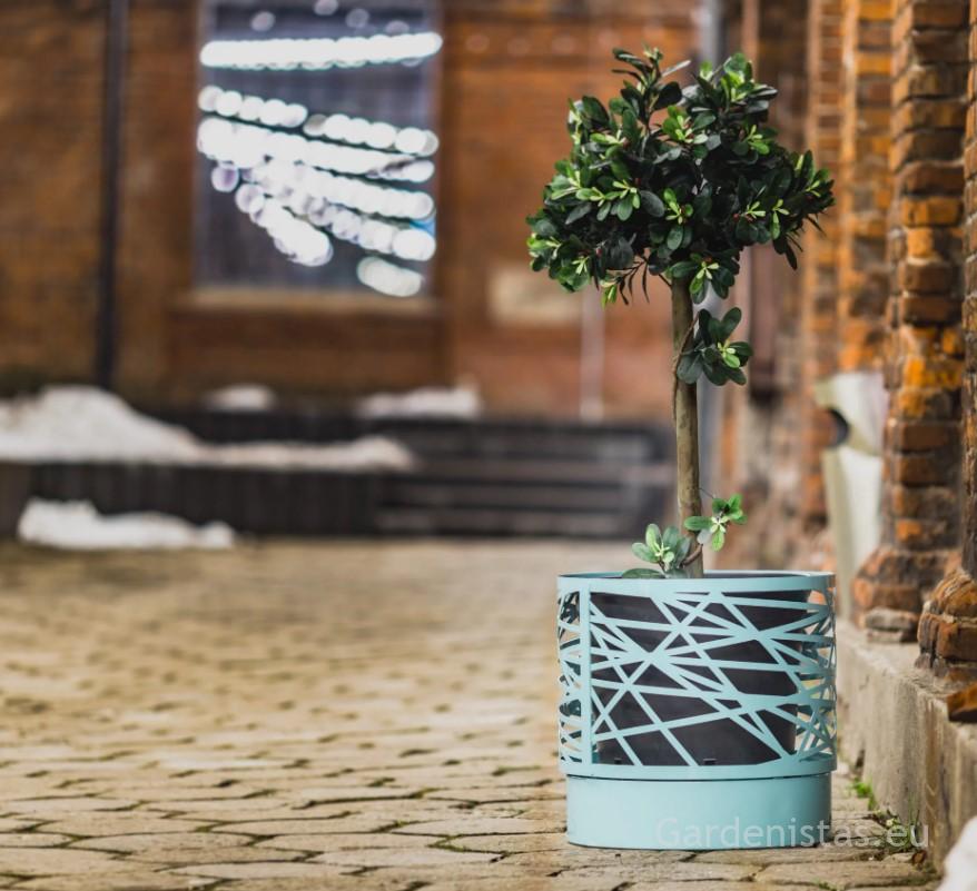 Taimepott VALENCIA 46l Taimepotid Taimepott VALENCIA 46l Taimepotid Gardenistas.eu